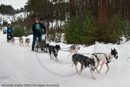 Racing Teams in the Siberian Husky Club of GB Arden Grange Aviemore Sled Dog Rally 2010
