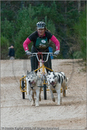 Dog Sled Team competing in the 25th Anniversary Siberian Husky Club of Great Britain Aviemore Sled Dog Rally 2008