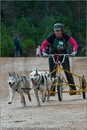 Dog Sled Team competing in the 25th Anniversary Siberian Husky Club of Great Britain Aviemore Sled Dog Rally 2008
