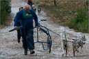 Dog Sled Team competing in the 25th Anniversary Siberian Husky Club of Great Britain Aviemore Sled Dog Rally 2008