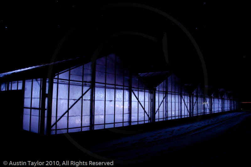 Mirrie Dancers Illuminations - Glasshouses, Tingwall