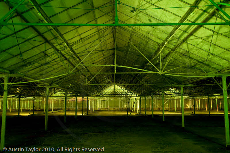 Mirrie Dancers Illuminations - Glasshouses, Tingwall