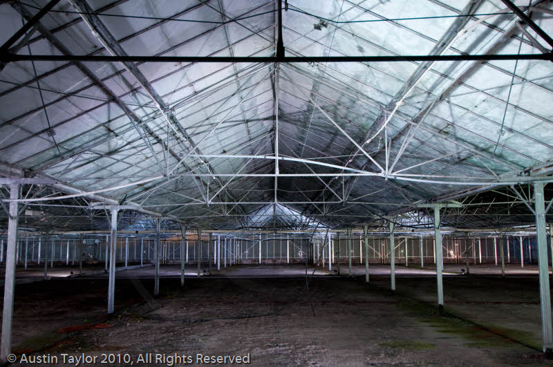 Mirrie Dancers Illuminations - Glasshouses, Tingwall