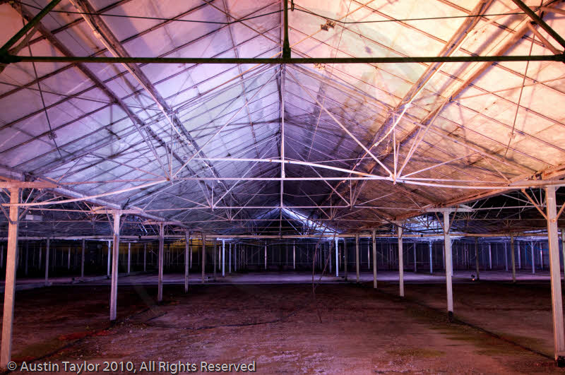 Mirrie Dancers Illuminations - Glasshouses, Tingwall