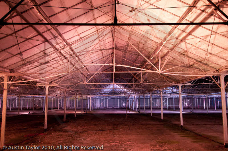 Mirrie Dancers Illuminations - Glasshouses, Tingwall