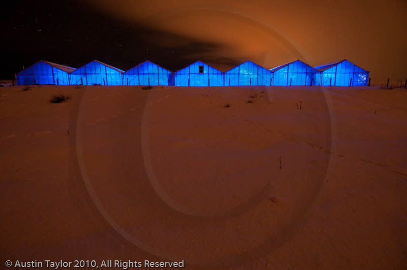 Mirrie Dancers Illuminations - Glasshouses, Tingwall