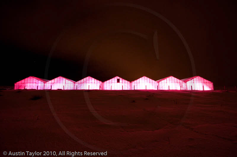 Mirrie Dancers Illuminations - Glasshouses, Tingwall