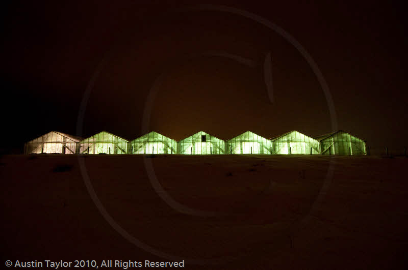 Mirrie Dancers Illuminations - Glasshouses, Tingwall