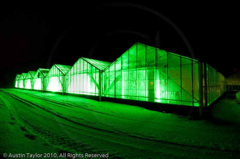 Mirrie Dancers Illuminations - Glasshouses, Tingwall