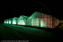 Mirrie Dancers Illuminations - Glasshouses, Tingwall