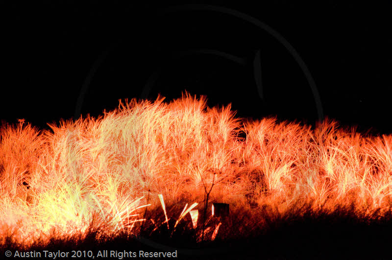 Mirrie Dancers Illuminations - Sand Dunes, West Sandwick