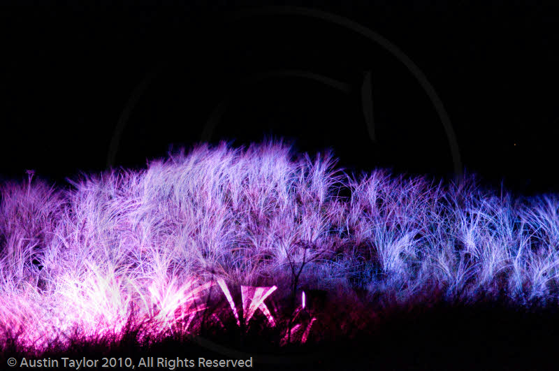 Mirrie Dancers Illuminations - Sand Dunes, West Sandwick