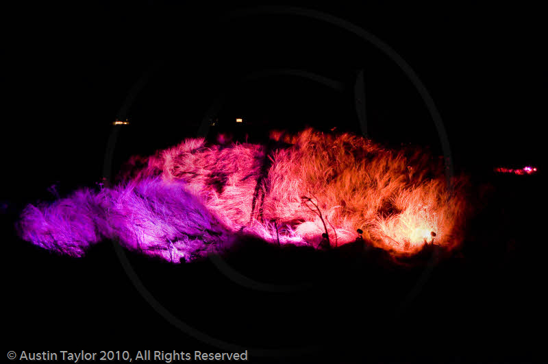 Mirrie Dancers Illuminations - Sand Dunes, West Sandwick