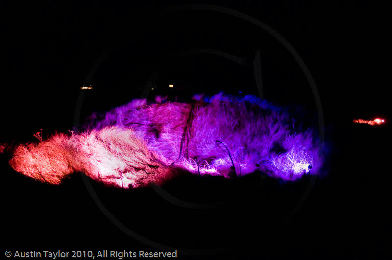 Mirrie Dancers Illuminations - Sand Dunes, West Sandwick