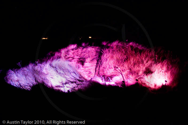 Mirrie Dancers Illuminations - Sand Dunes, West Sandwick