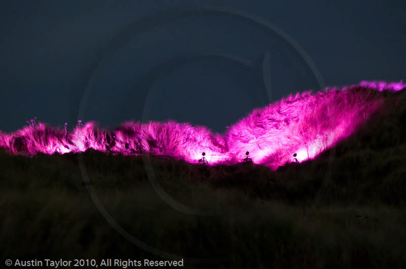 Mirrie Dancers Illuminations - Sand Dunes, West Sandwick