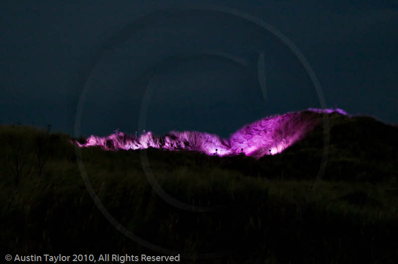 Mirrie Dancers Illuminations - Sand Dunes, West Sandwick