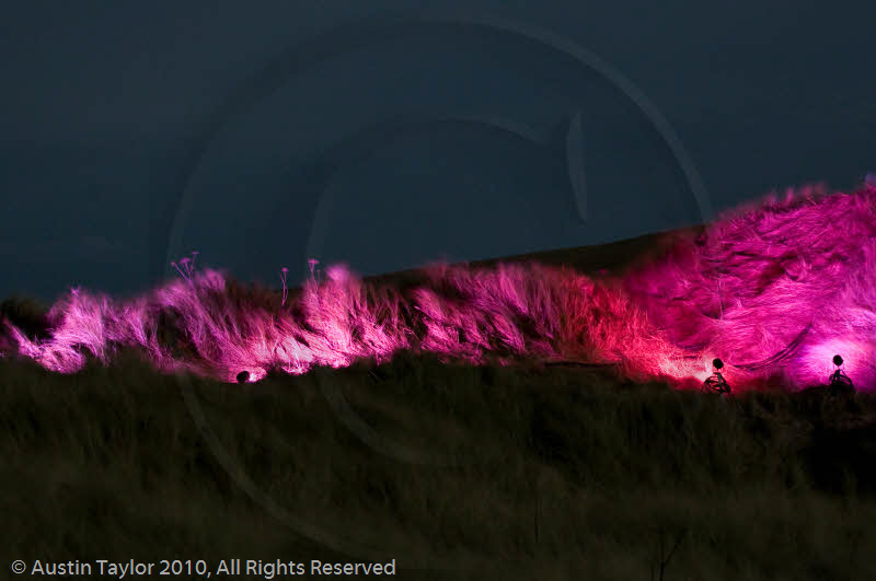 Mirrie Dancers Illuminations - Sand Dunes, West Sandwick