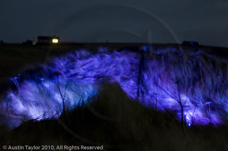 Mirrie Dancers Illuminations - Sand Dunes, West Sandwick