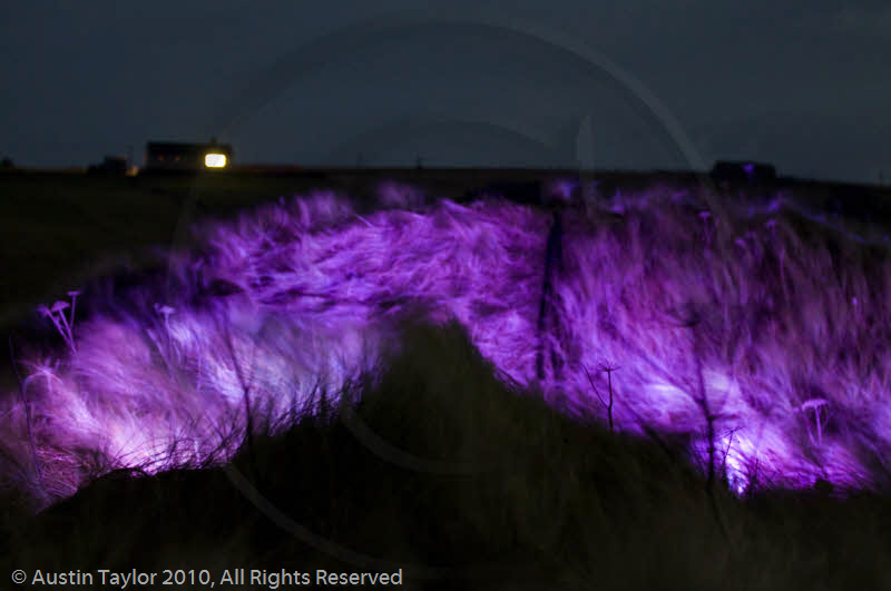 Mirrie Dancers Illuminations - Sand Dunes, West Sandwick