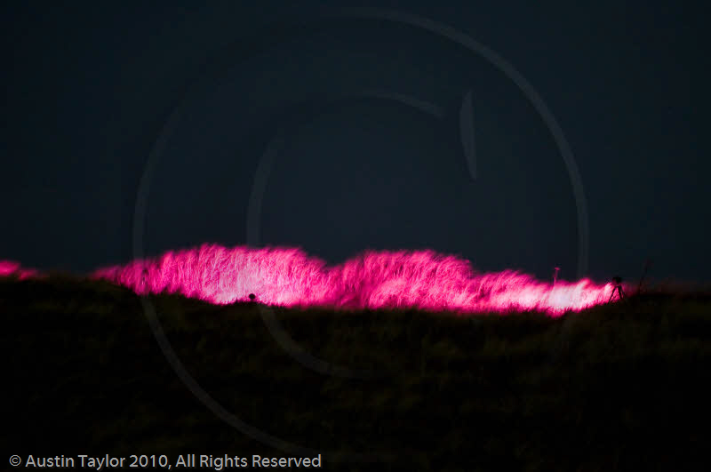 Mirrie Dancers Illuminations - Sand Dunes, West Sandwick