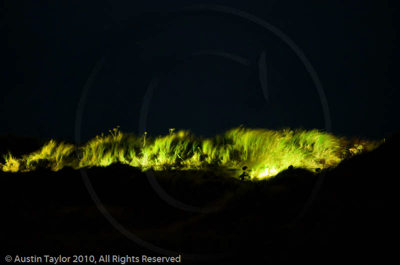 Mirrie Dancers Illuminations - Sand Dunes, West Sandwick