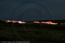 Mirrie Dancers Illuminations - Sand Dunes, West Sandwick